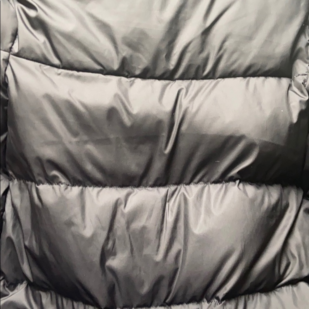 Northface Parka - image 4